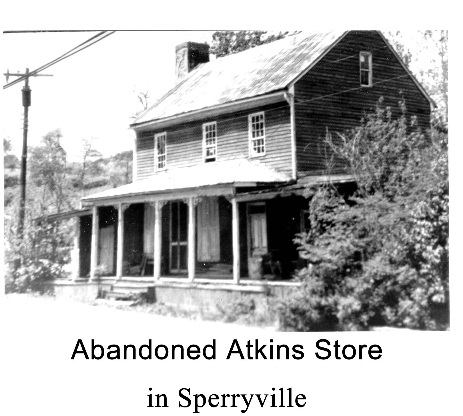 Atkins Store